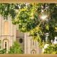 Salt Lake Brilliant Light