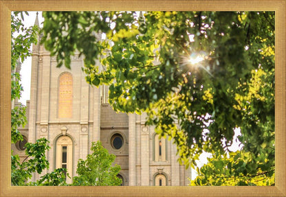 Salt Lake Brilliant Light