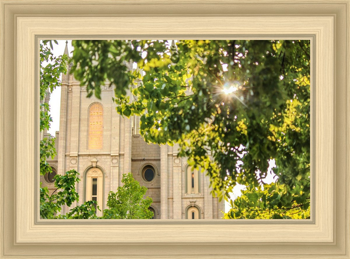 Salt Lake Brilliant Light