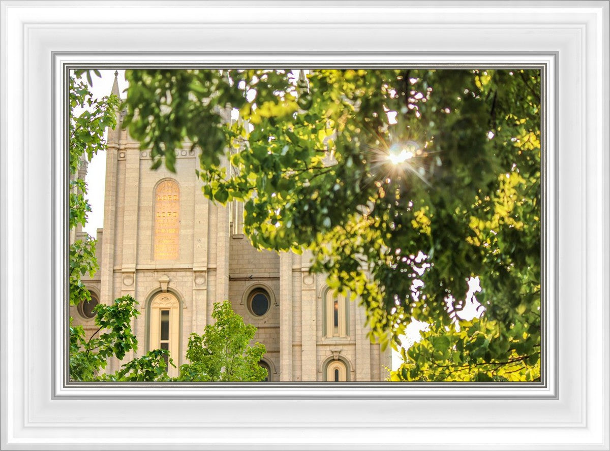 Salt Lake Brilliant Light