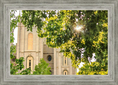 Salt Lake Brilliant Light