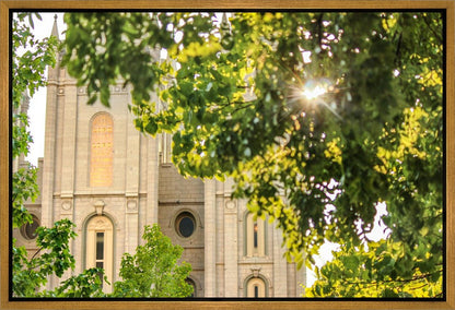 Salt Lake Brilliant Light Gallery Wrap