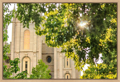 Salt Lake Brilliant Light Gallery Wrap