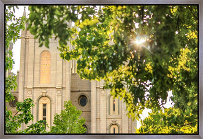 Salt Lake Brilliant Light Gallery Wrap