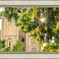 Salt Lake Brilliant Light