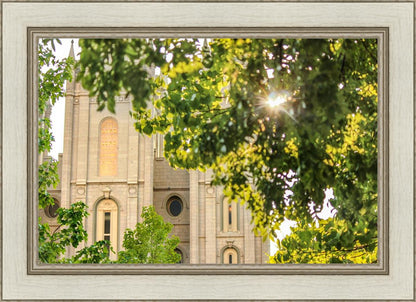 Salt Lake Brilliant Light