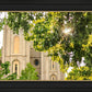 Salt Lake Brilliant Light