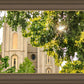 Salt Lake Brilliant Light