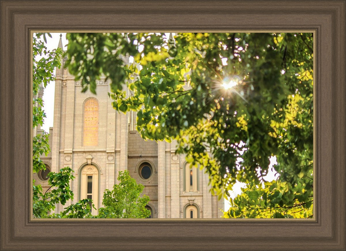 Salt Lake Brilliant Light