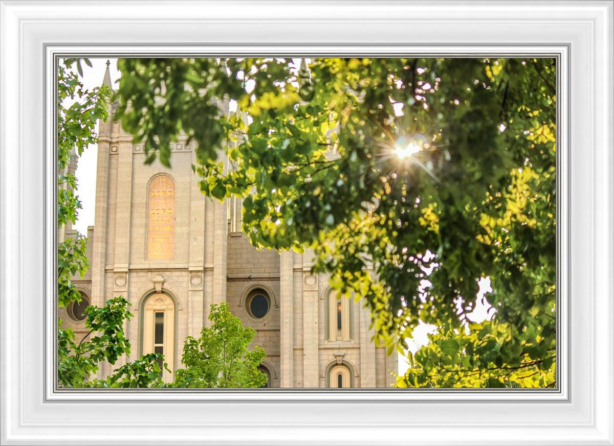 Salt Lake Brilliant Light
