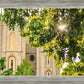 Salt Lake Brilliant Light