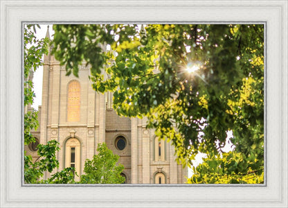 Salt Lake Brilliant Light