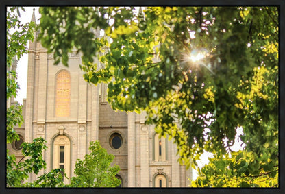 Salt Lake Brilliant Light Gallery Wrap