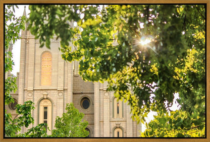 Salt Lake Brilliant Light Gallery Wrap