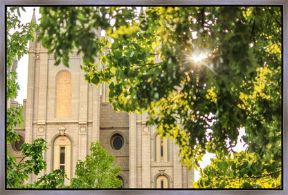 Salt Lake Brilliant Light Gallery Wrap