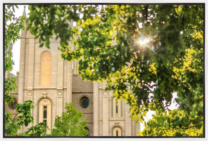 Salt Lake Brilliant Light Gallery Wrap