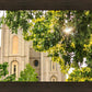 Salt Lake Brilliant Light