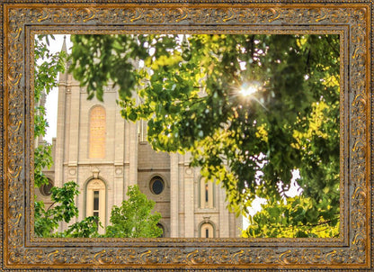 Salt Lake Brilliant Light