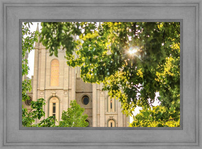 Salt Lake Brilliant Light