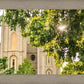 Salt Lake Brilliant Light