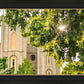 Salt Lake Brilliant Light