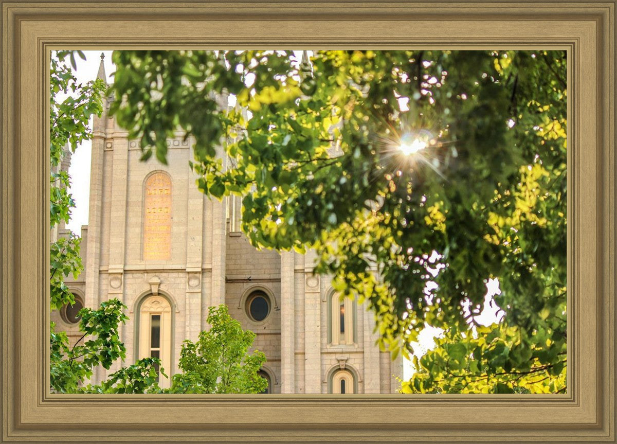 Salt Lake Brilliant Light