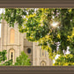 Salt Lake Brilliant Light