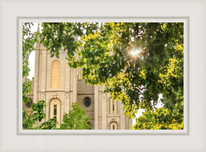 Salt Lake Brilliant Light