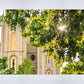 Salt Lake Brilliant Light