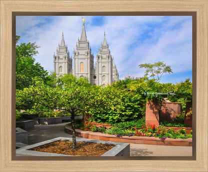 Salt Lake Eden Gallery Wrap