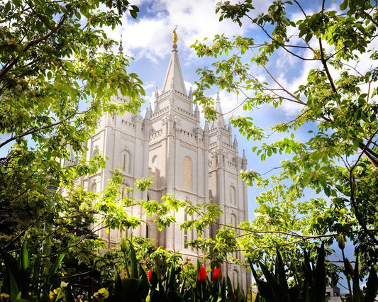 Salt Lake Glimpse of Eternity Gallery Wrap