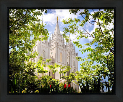 Salt Lake Glimpse of Eternity Gallery Wrap
