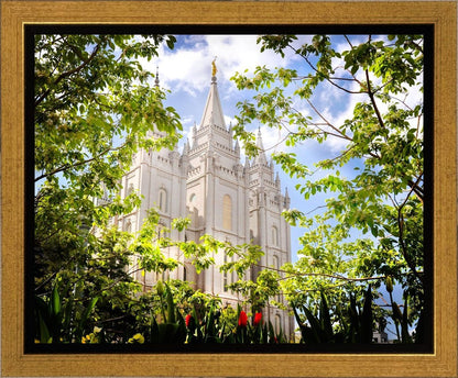 Salt Lake Glimpse of Eternity Gallery Wrap