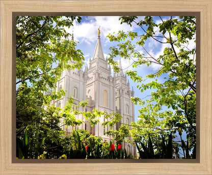 Salt Lake Glimpse of Eternity Gallery Wrap