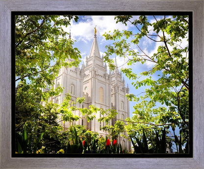 Salt Lake Glimpse of Eternity Gallery Wrap