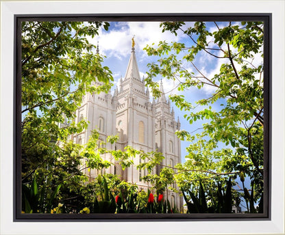 Salt Lake Glimpse of Eternity Gallery Wrap