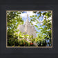 Salt Lake Glimpse of Eternity