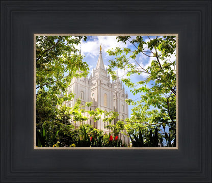 Salt Lake Glimpse of Eternity