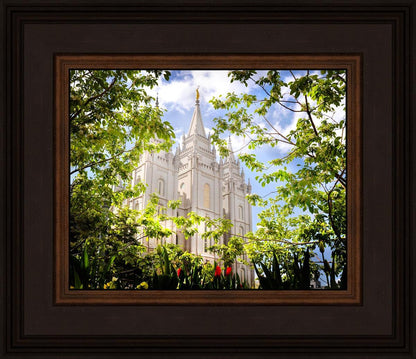 Salt Lake Glimpse of Eternity