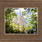 Salt Lake Glimpse of Eternity