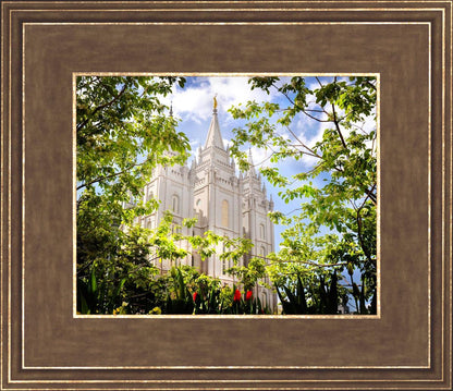 Salt Lake Glimpse of Eternity