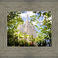 Salt Lake Glimpse of Eternity