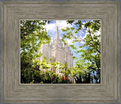 Salt Lake Glimpse of Eternity