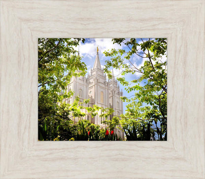 Salt Lake Glimpse of Eternity