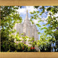 Salt Lake Glimpse of Eternity