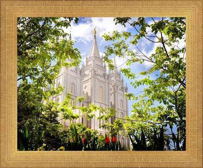 Salt Lake Glimpse of Eternity