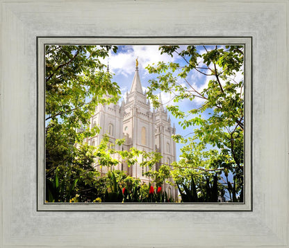 Salt Lake Glimpse of Eternity