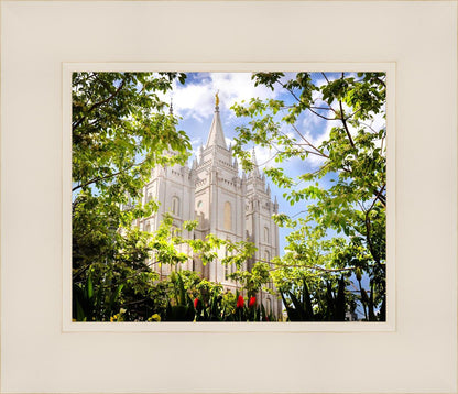 Salt Lake Glimpse of Eternity