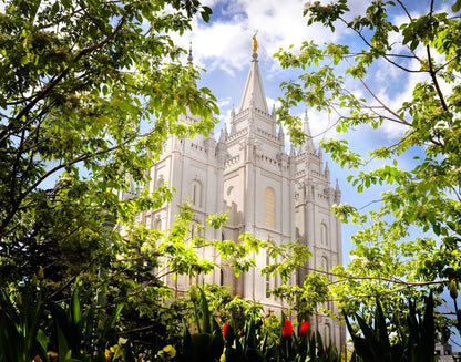 Salt Lake Glimpse of Eternity Gallery Wrap