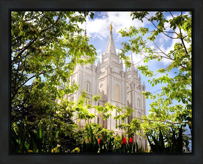 Salt Lake Glimpse of Eternity Gallery Wrap